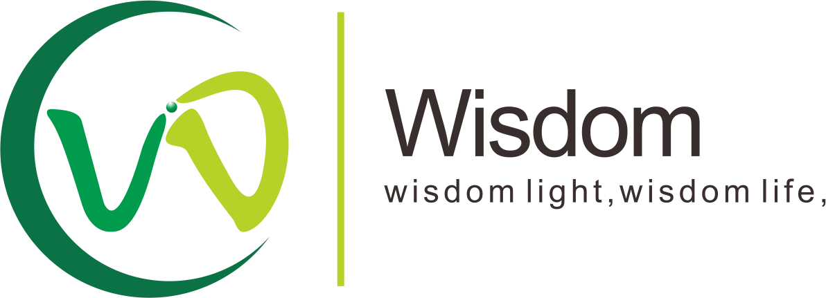 WISDOM OPTOELECTRONICS TECHNOLOGY CO., LIMITED